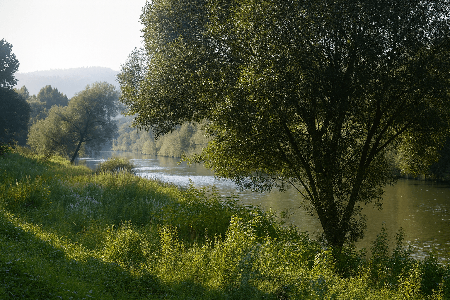 Réseau d’eau : raccordement et gestion