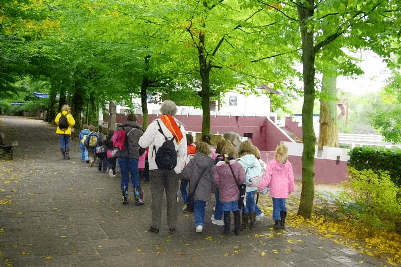 Stages, activités de vacances, colonies